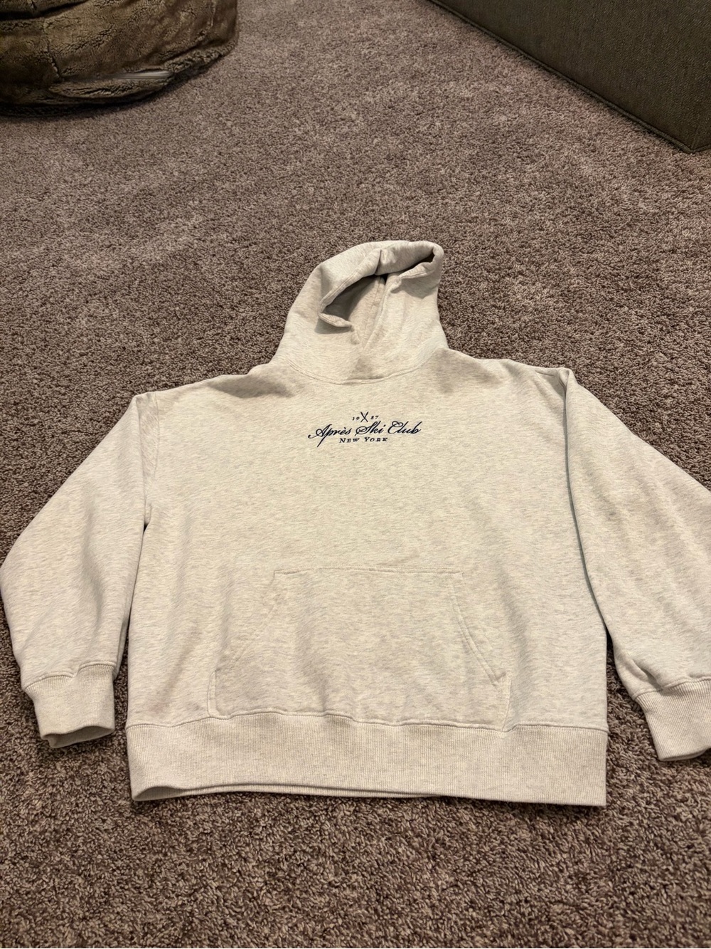 Hollister Light Gray Pullover Hoodie with Script Chest Logo